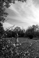 Autumn Joys