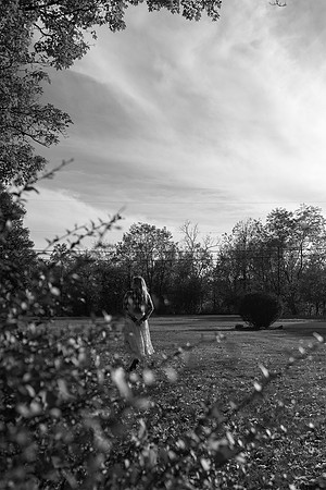 6629autumnleavessharp