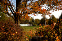 autumn6546